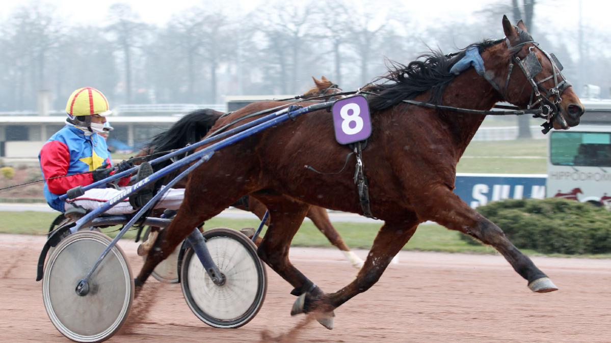 course au trot