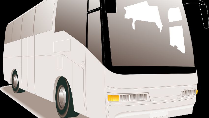 bus