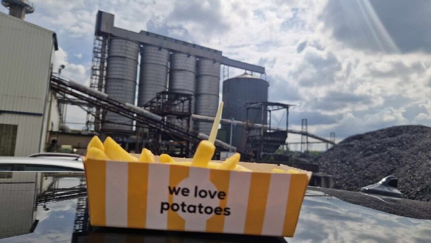 Frites Agristo