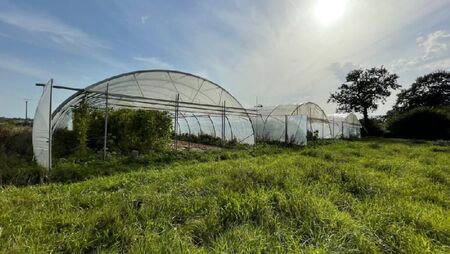 ferme test